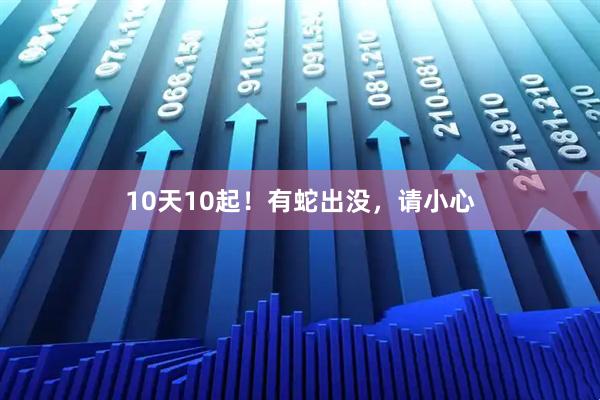 10天10起！有蛇出没，请小心