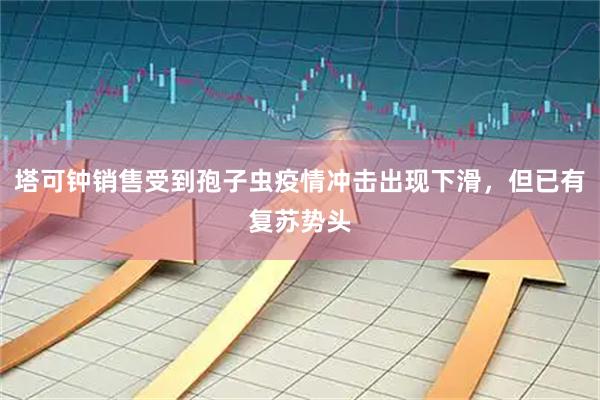 塔可钟销售受到孢子虫疫情冲击出现下滑，但已有复苏势头